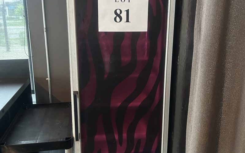 81- Frigidaire 1 porte COOL STREAM