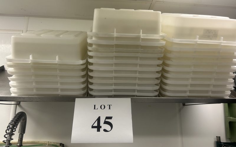 45- Lot de bacs avec couvert