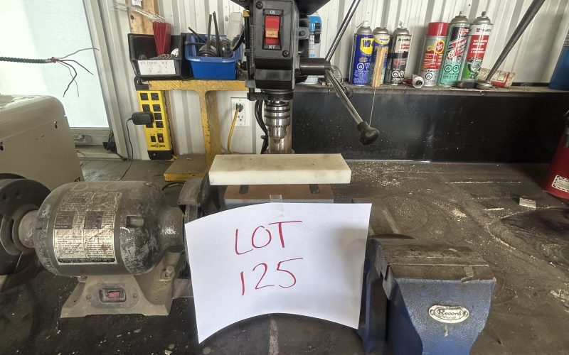 Lot 125- Meule, mini presse drill King Canada , étau d’établie ( a Magog )