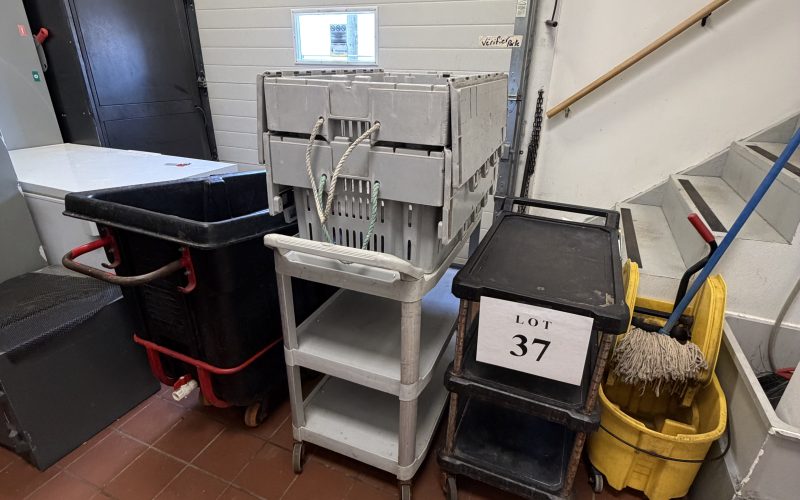 Lot 37- Desserte (2) , caisse a hormard , poubelle , mope