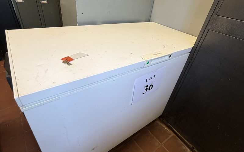Lot 36- Congélateur tombeau