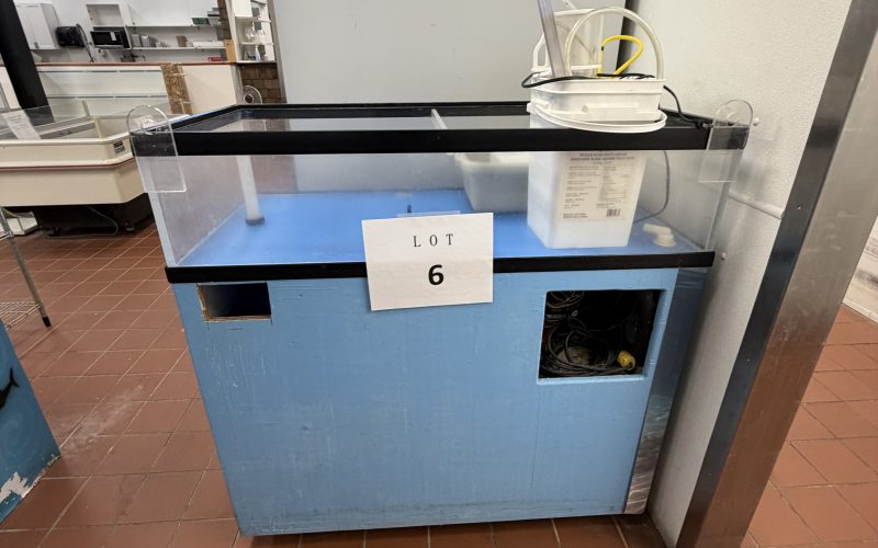 Lot 6- Vivier 48×24