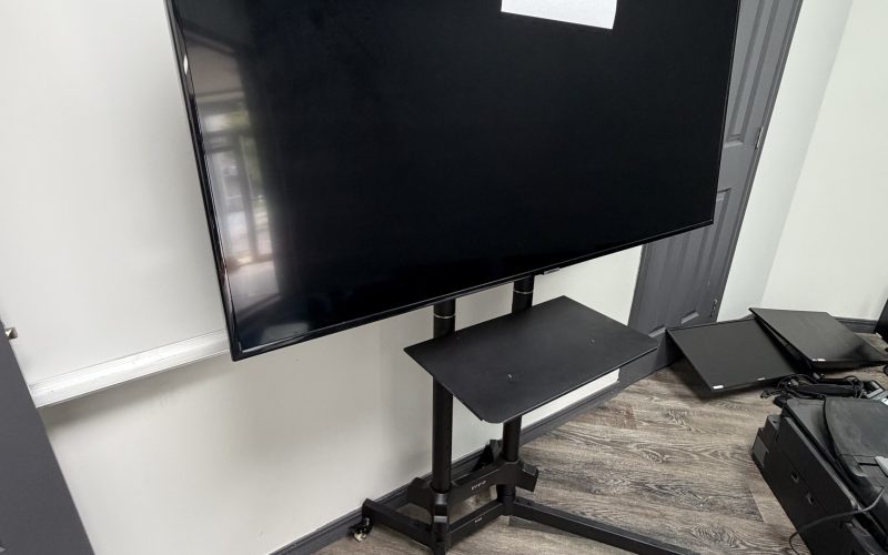 Lot 33- Télévision Samsung sur support mobile de marque Vivo